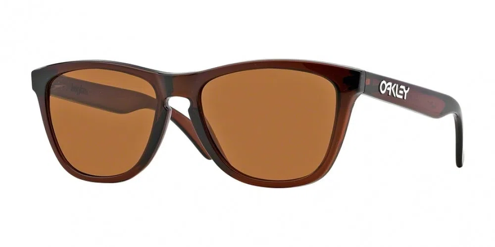 Oakley Frogskins 9013 Sunglasses - Crystal Clear - view 18